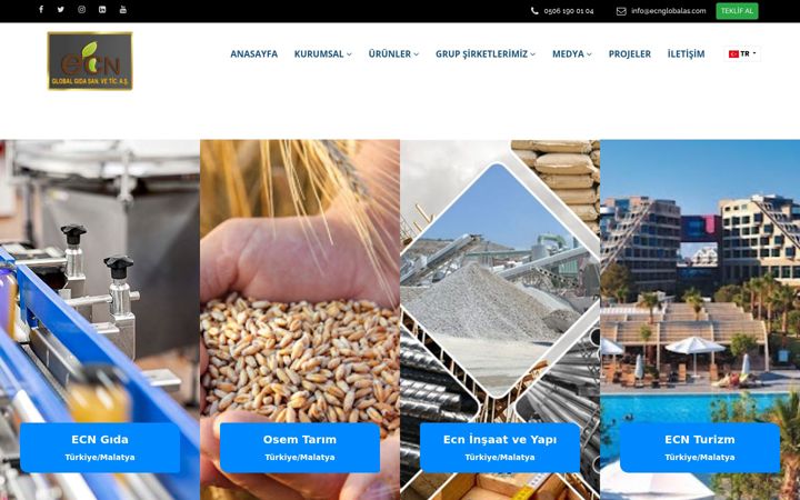 Screenshot of ecnglobalas.com