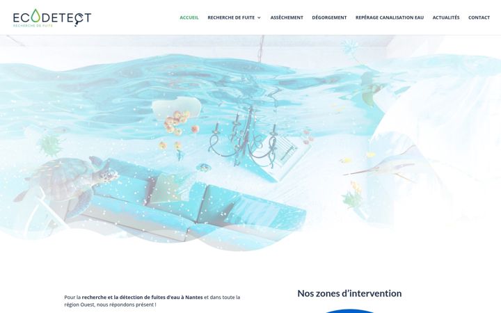 Screenshot of eco-detect.fr