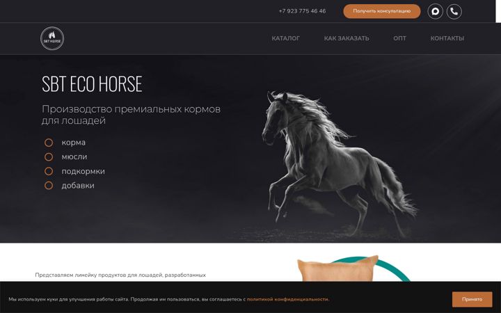 Ekraanipilt saidist eco-horse.ru
