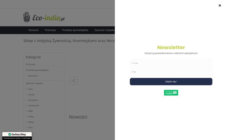 Screenshot of eco-india.pl