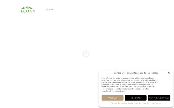 Screenshot of ecoan.es