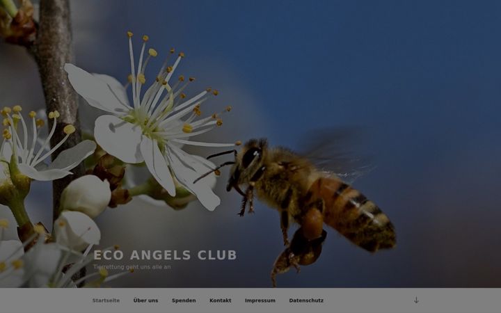 Screenshot of ecoangels.club