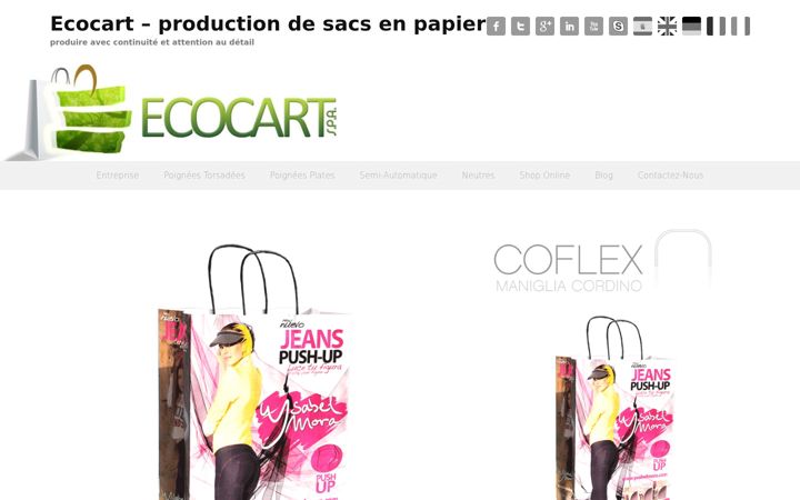 Screenshot of ecocartspa.fr