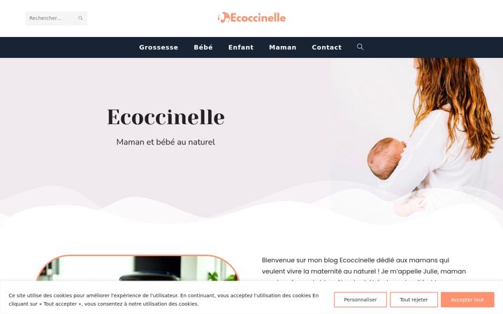 Captură de ecran a ecoccinelle.fr