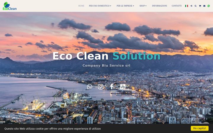Screenshot of ecocleansolution.info