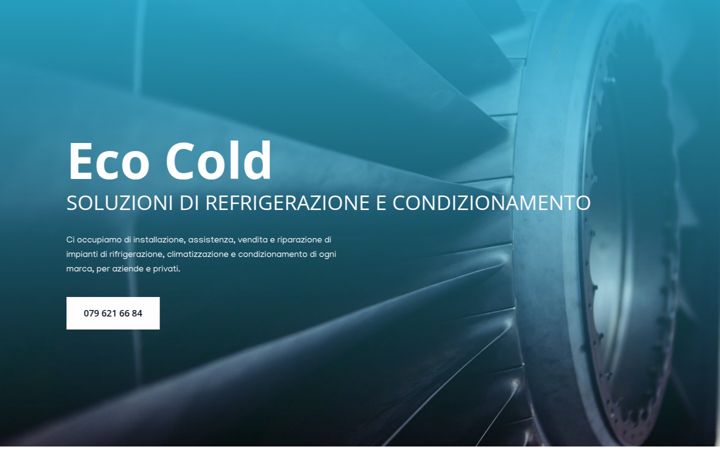 Screenshot of ecocold.ch