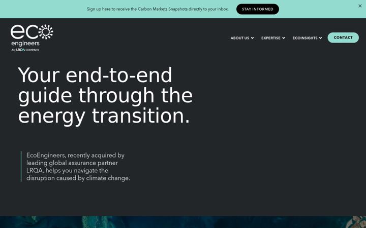 Screenshot of ecoengineers.us