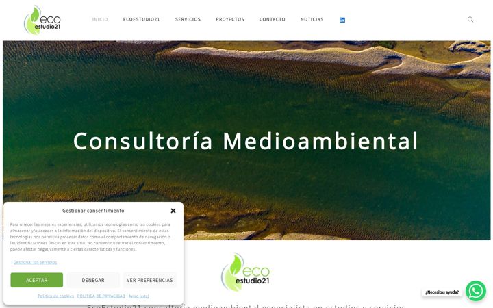 Screenshot of ecoestudio21.com