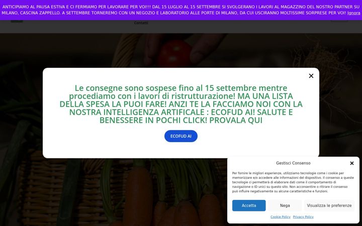 Captura de pantalla de ecofud.it