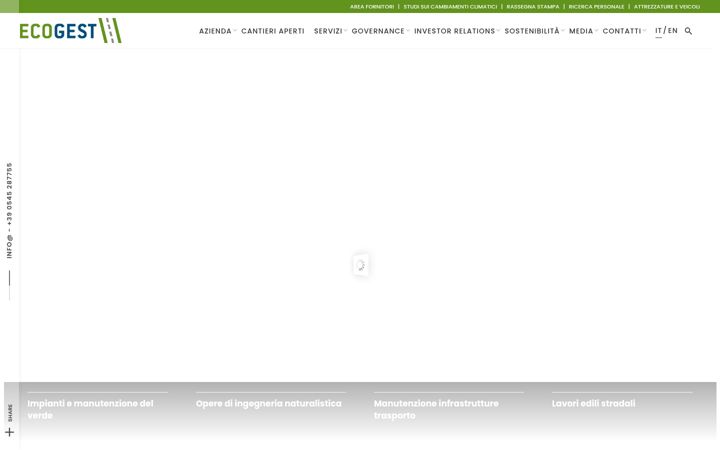 Screenshot of ecogestspa.com