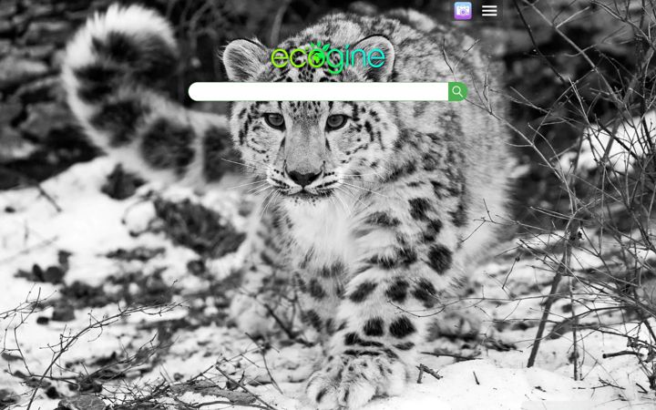 Screenshot of ecogine.org