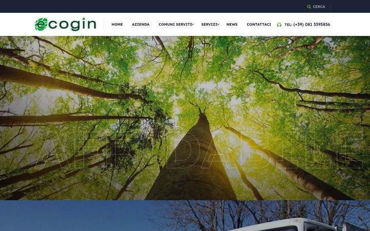 Captura de pantalla de ecoginsrl.it