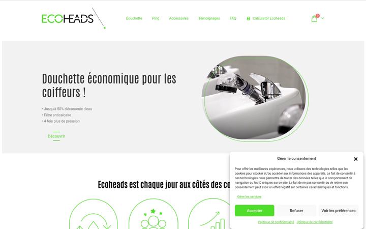 Zrzut ekranu ecoheads.fr