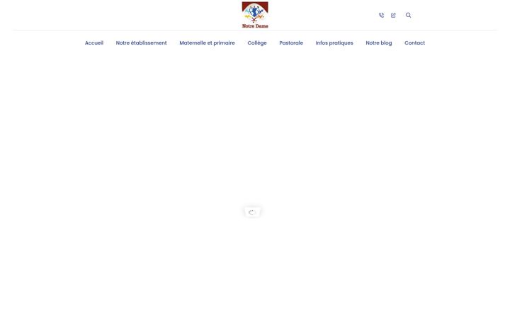 Screenshot of ecole-college-notre-dame-rue.fr