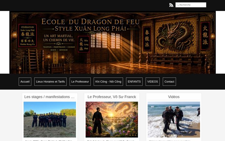Screenshot of ecole-du-dragon-de-feu.fr