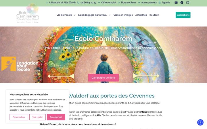 Screenshot of ecolecaminarem.org