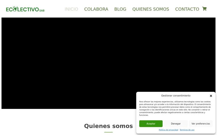Captura de ecrã de ecolectivosab.org