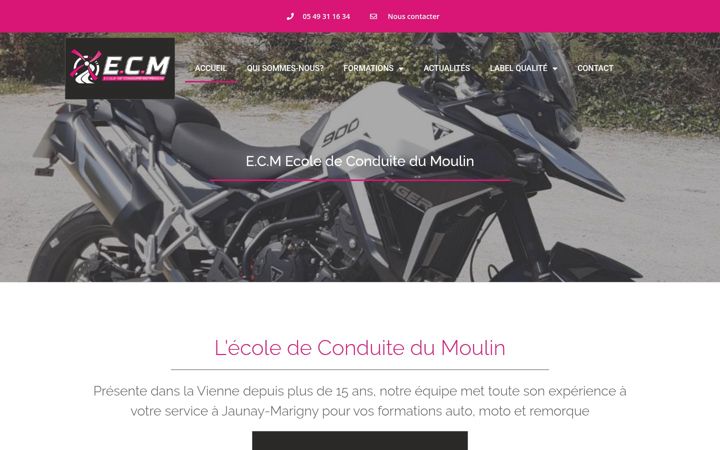 Screenshot of ecoledeconduitedumoulin.fr