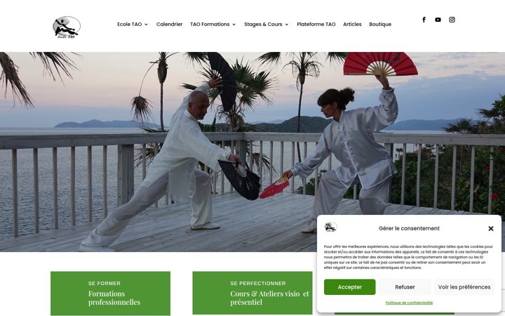 Screenshot of ecoletao-thierryalibert.fr