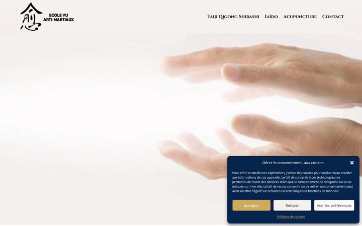 Screenshot of ecoleyu.com