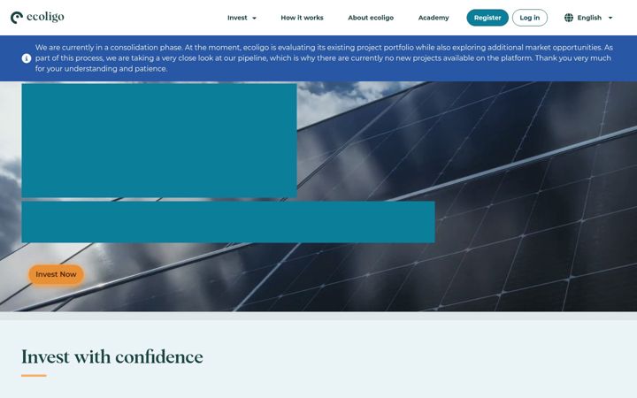 Screenshot of ecoligo.com