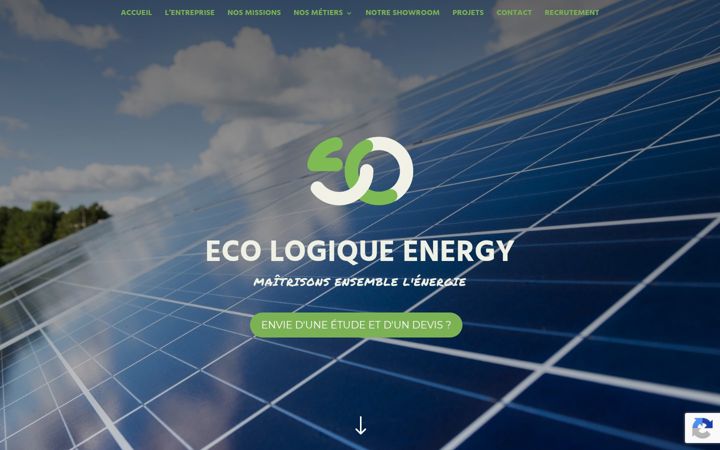 Screenshot of ecologiqueenergy.fr