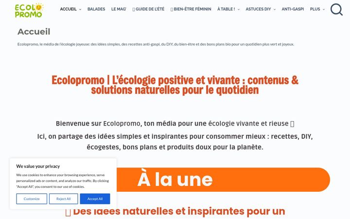 Skärmbild av ecolopromo.fr