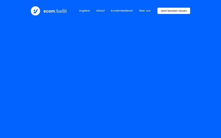 Snimka zaslona za ecom-audit.de