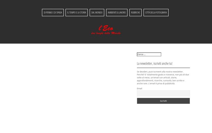 Screenshot of ecomarchenews.com