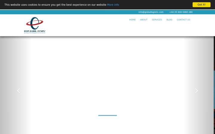 Screenshot of ecomgloballogistics.com