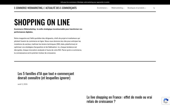 Screenshot of ecommerce-webmarketing.com