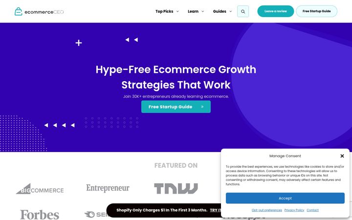 Screenshot of ecommerceceo.com