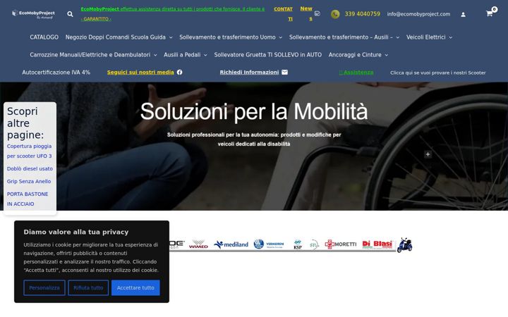 Screenshot of ecomobyproject.net