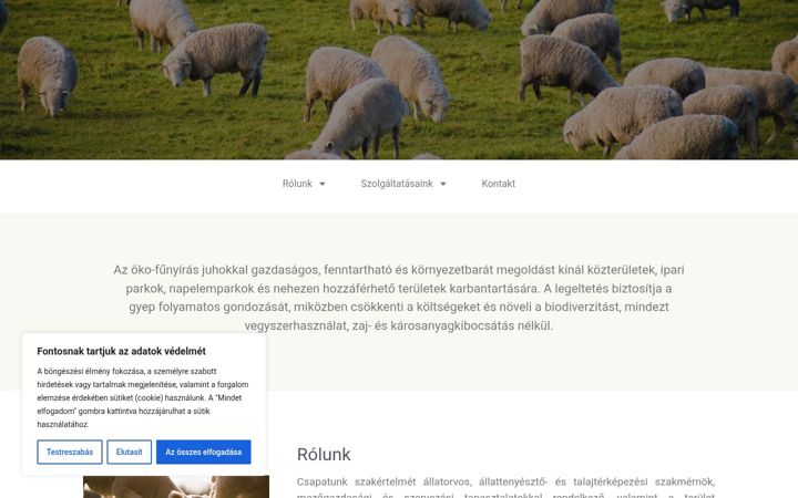 Screenshot of ecomowers.hu