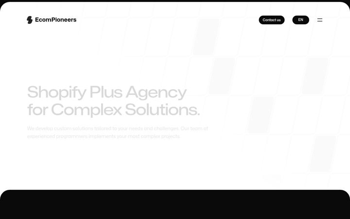 Screenshot of ecompioneers.com