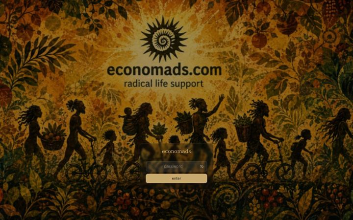 Screenshot of economads.com