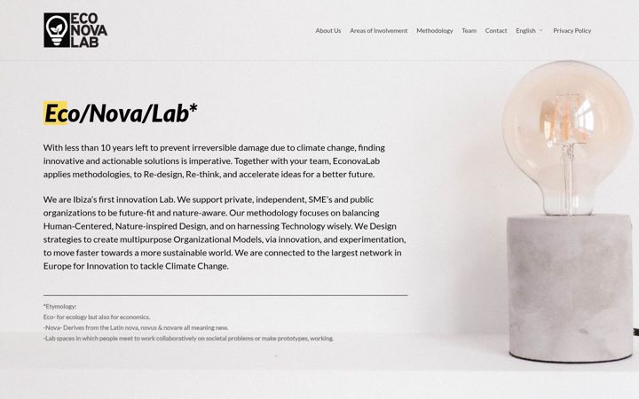 Screenshot of econovalab.com