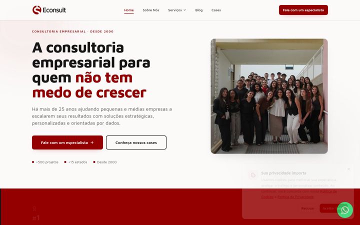 Ekrānuzņēmums no econsult.org.br