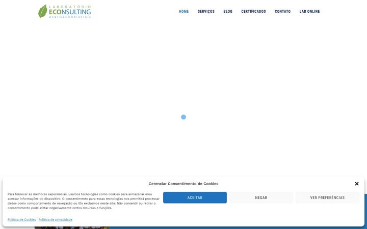 Ekrānuzņēmums no econsulting.com.br
