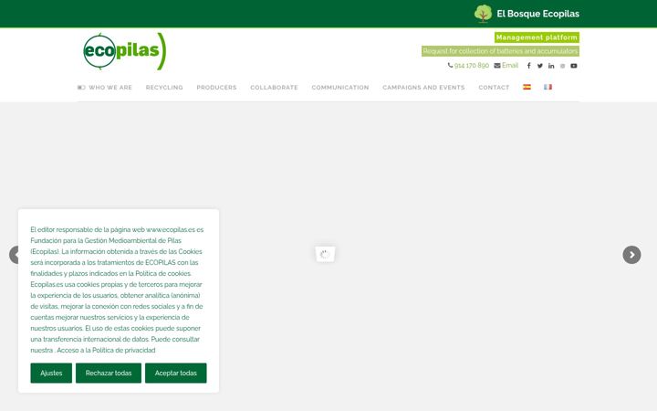 Skjámynd af ecopilas.es