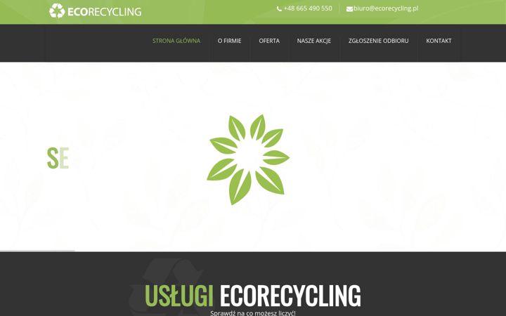 Captura de pantalla de ecorecycling.pl
