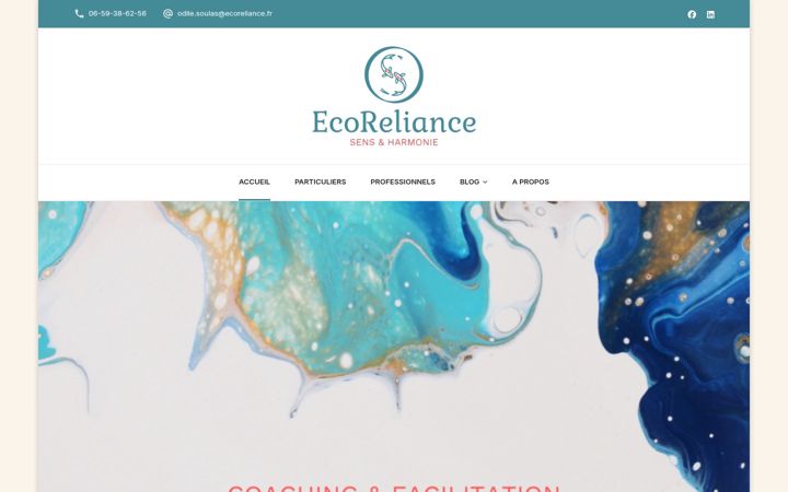 Zrzut ekranu ecoreliance.fr