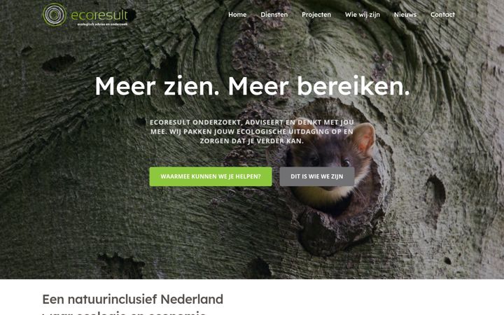 Snímek obrazovky ecoresult.nl