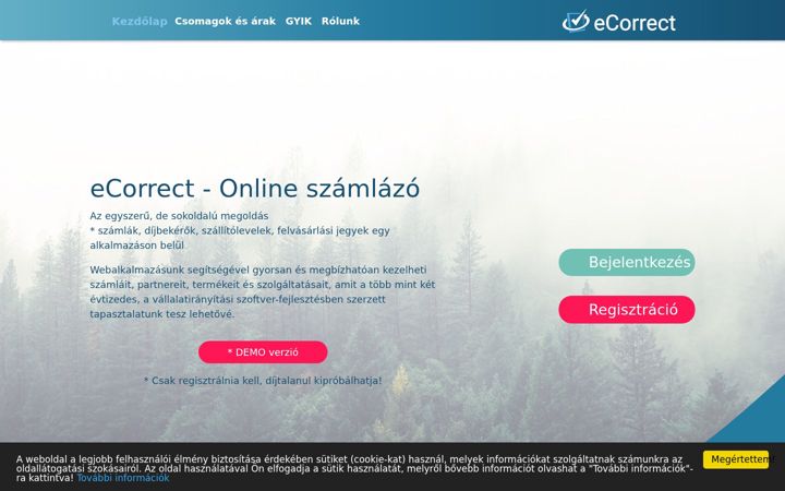Screenshot stránky ecorrect.hu