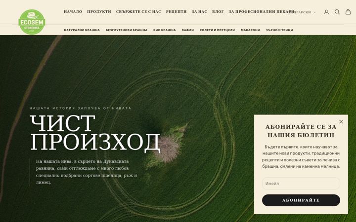Screenshot of ecosem.bg