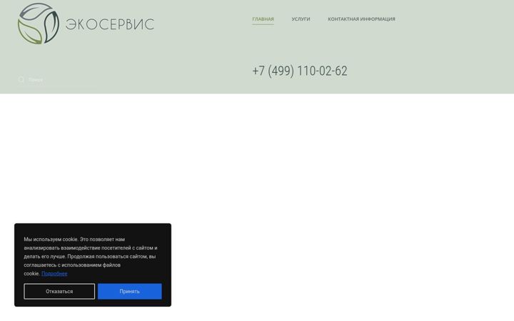 Ekraanipilt saidist ecoservis-n.ru