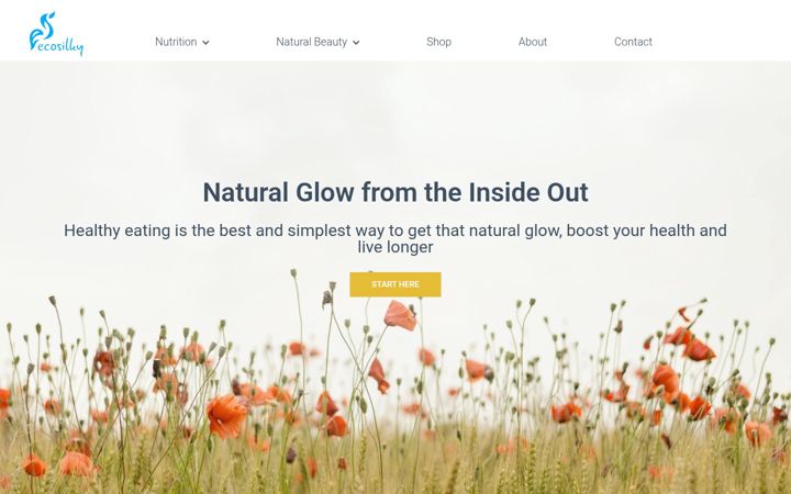 Screenshot of ecosilky.com