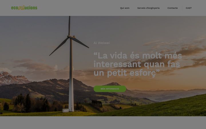 Screenshot of ecosolucions.com