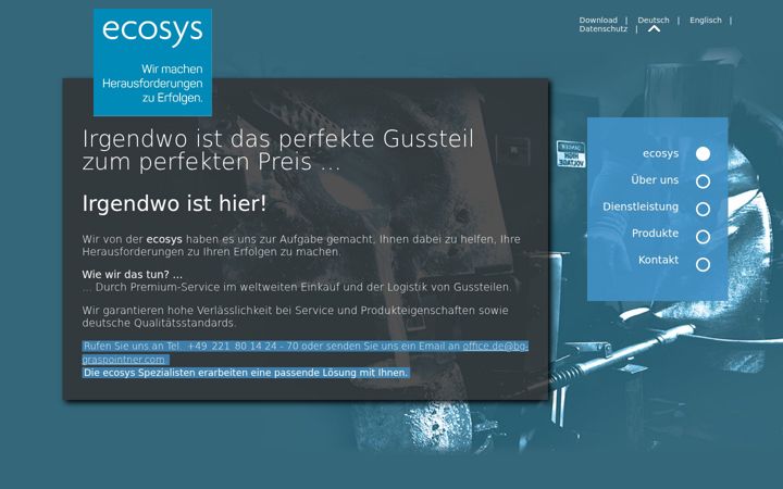 Screenshot of ecosysaqua.com