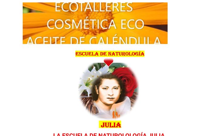 Screenshot of ecotalleres.es